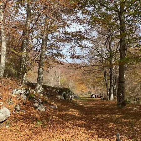 La Casa Nel Bosco-val Granara *
