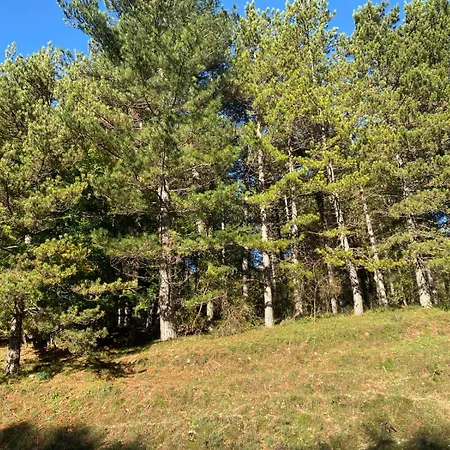 La Casa Nel Bosco-val Granara Filettino