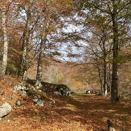 La Casa Nel Bosco-val Granara *