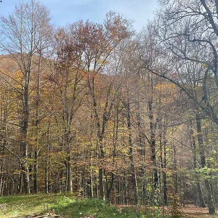 Apartment La Casa Nel Bosco-val Granara