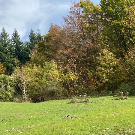 La Casa Nel Bosco-val Granara Filettino