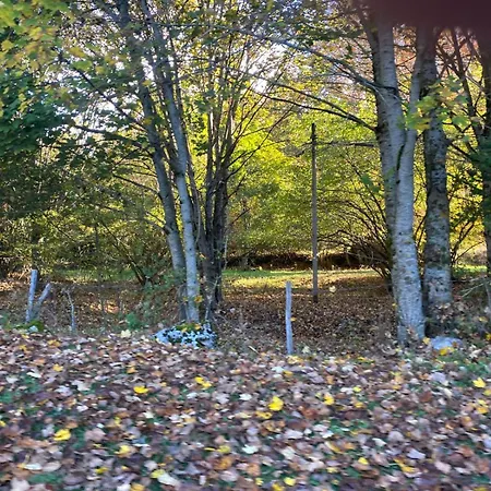 La Casa Nel Bosco-val Granara Apartment