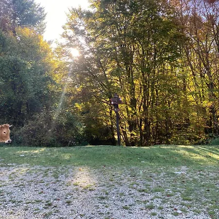 Apartment La Casa Nel Bosco-val Granara *